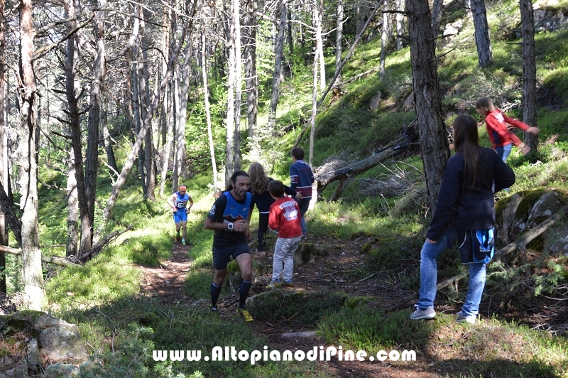 17 trofeo Fiorella e Luca - Tressilla 15 maggio 2016