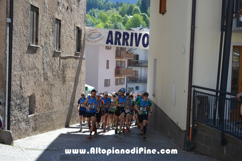 17 trofeo Fiorella e Luca - Tressilla 15 maggio 2016