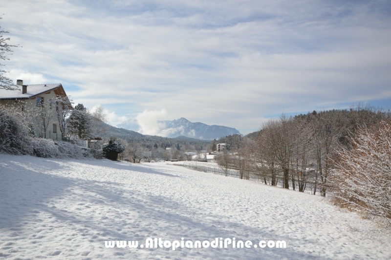 Neve inverno 2015-2016 Altopiano di Pine'