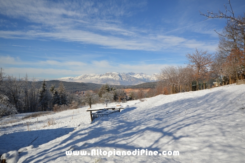 Neve inverno 2015-2016 Altopiano di Pine'