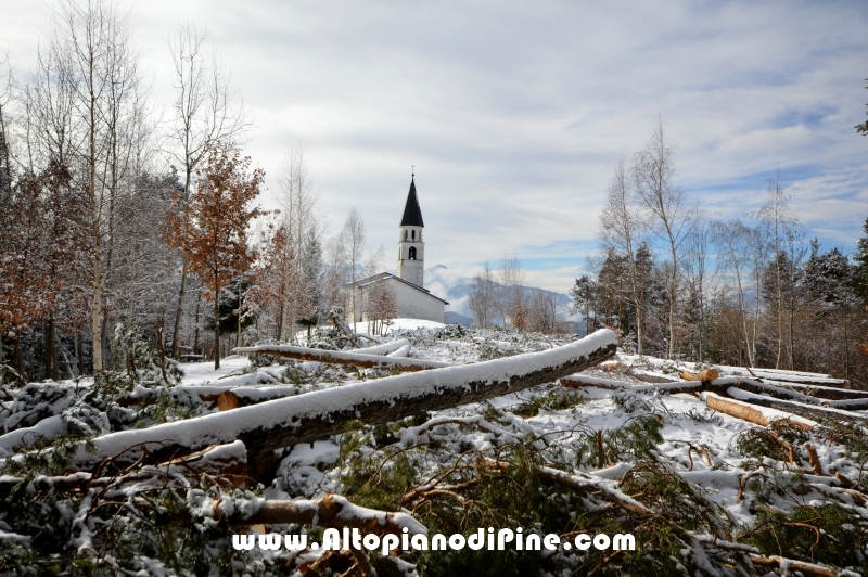 Neve inverno 2015-2016 Altopiano di Pine'