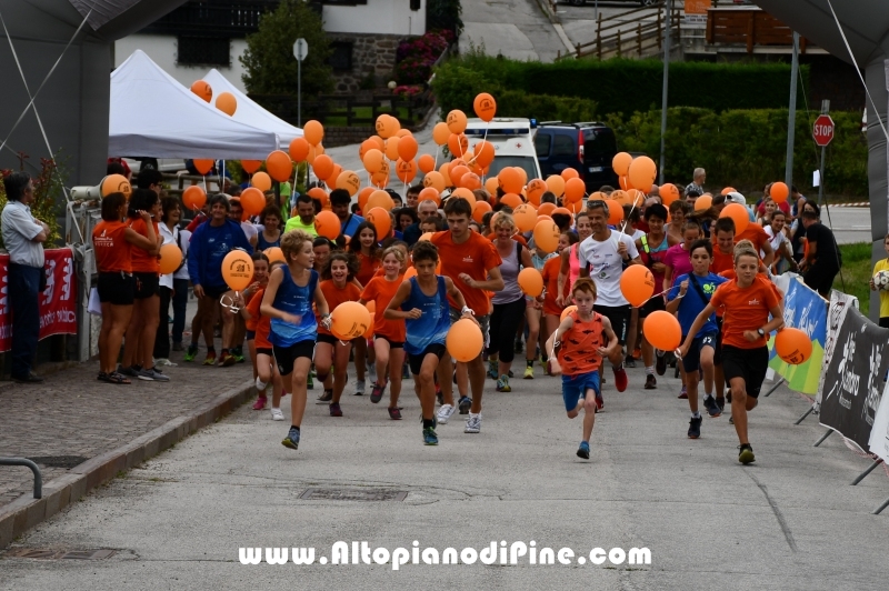 Memorial Romano Broseghini - Baselga di Pine'  - luglio 2018