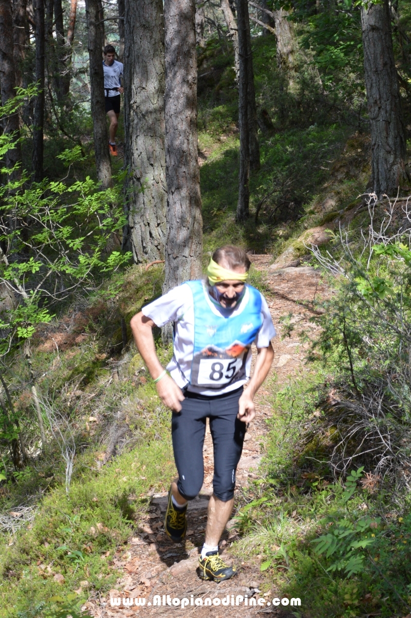 XIX  trofeo Fiorella e Luca - Tressilla 20 maggio 2018