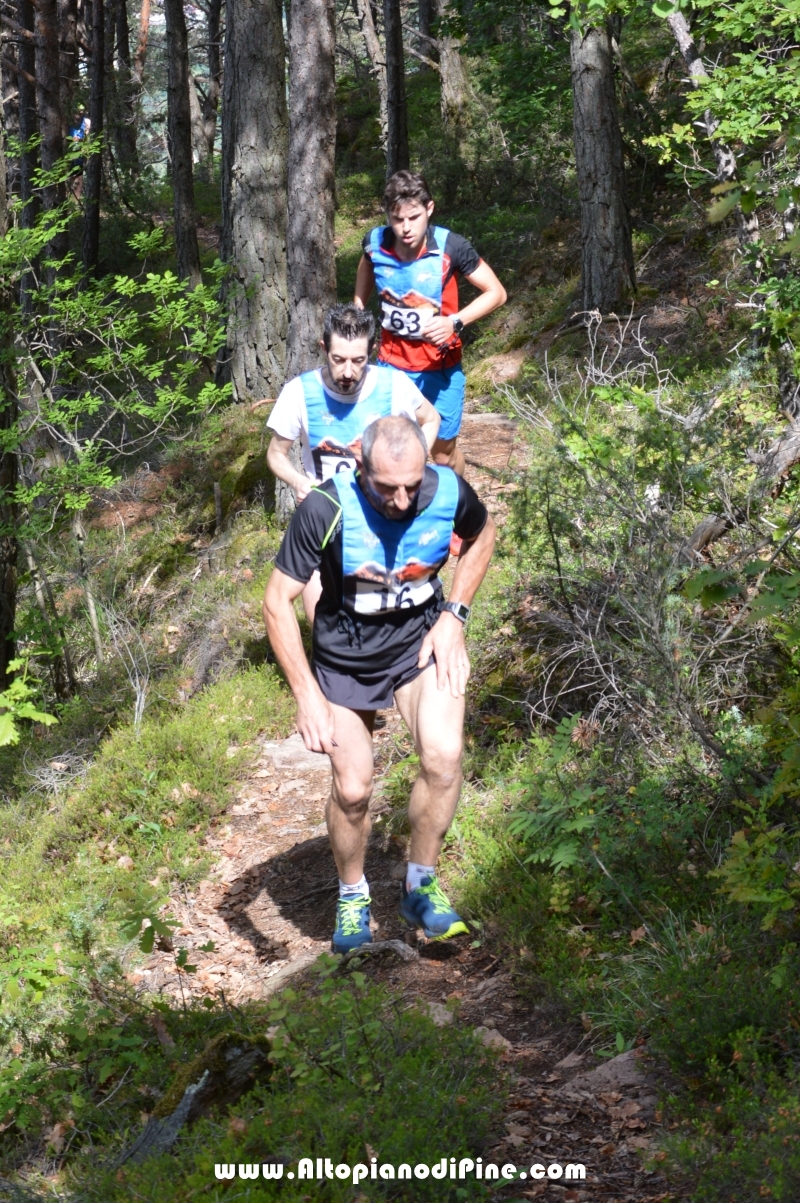 XIX  trofeo Fiorella e Luca - Tressilla 20 maggio 2018