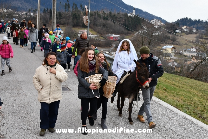 Tressilla S. Lucia 2018