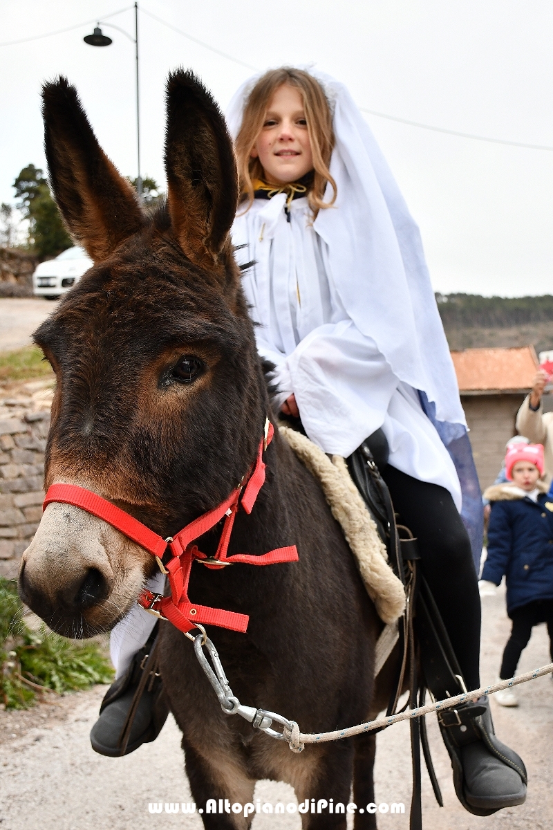 Tressilla S. Lucia 2018