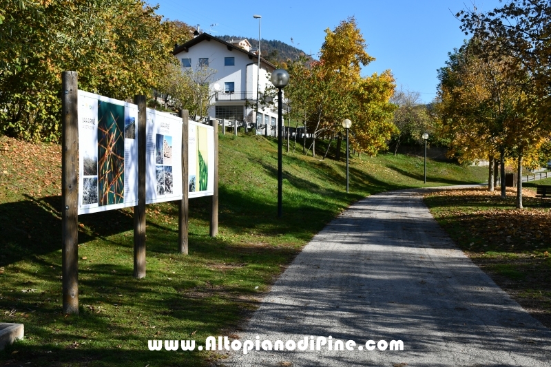 Un anno dopo la tempesta Vaia - ottobre 2019