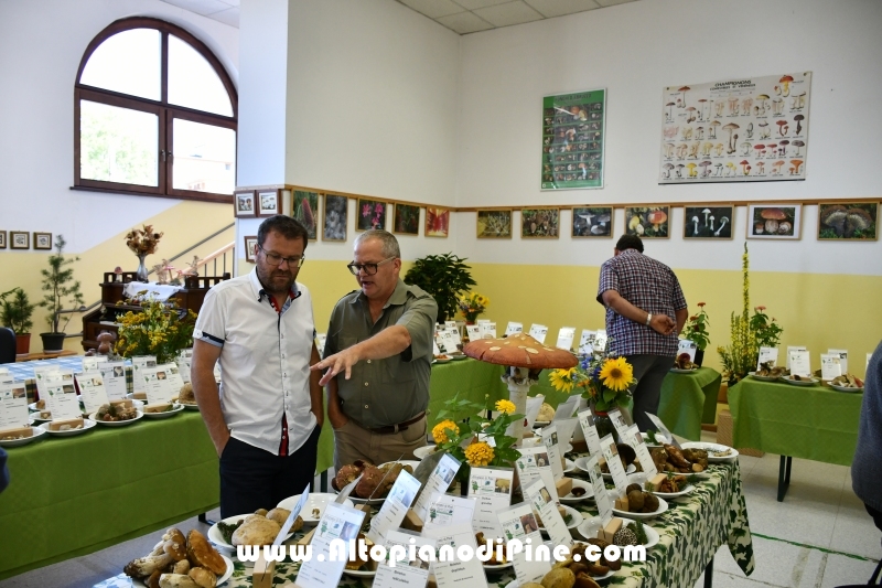 Mostra dei Funghi 2019