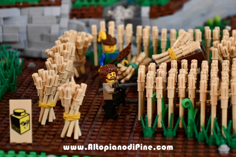 Pine' Bricks - esposizione di creazioni Lego - Baselga di Pine' ottobre 2019