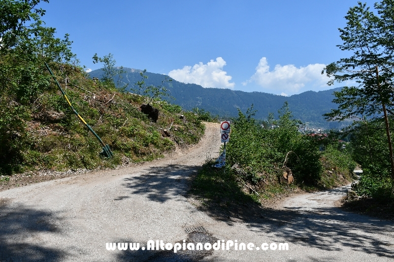 Strada nel bosco di Tressilla  dopo lo sgombero degli alberi abbattuti dalla tempesta Vaia