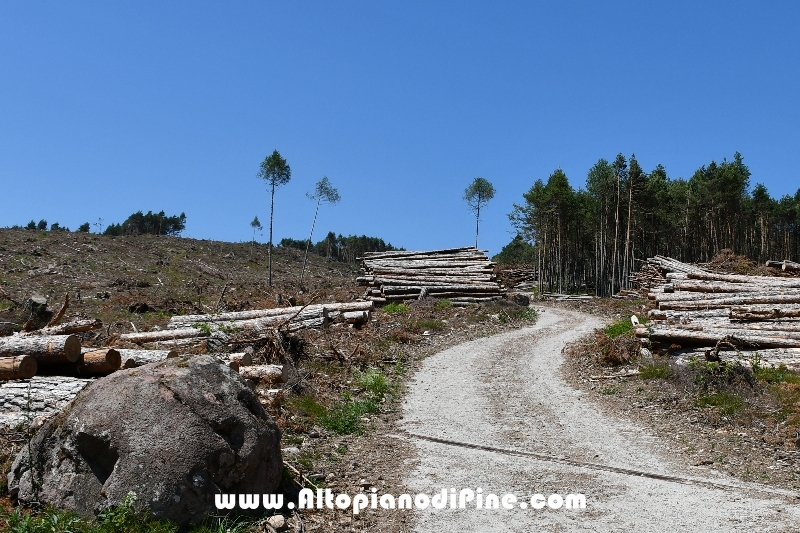 Tressilla  un grande masso ai lati della strada (dopo Vaia)