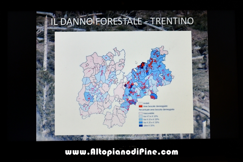 Situazione lavori Miola - gennaio 2020