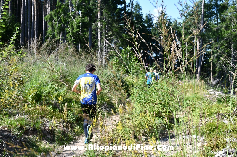 3 prova Criterium C.S.I. 2024 - Bedolpian - Baselga di Pinè