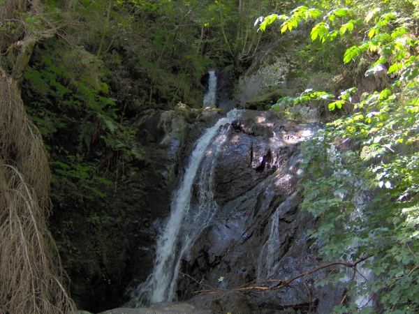 Cascate del Rio Negro [fotopercorsi/cascaterionegro.jpg]