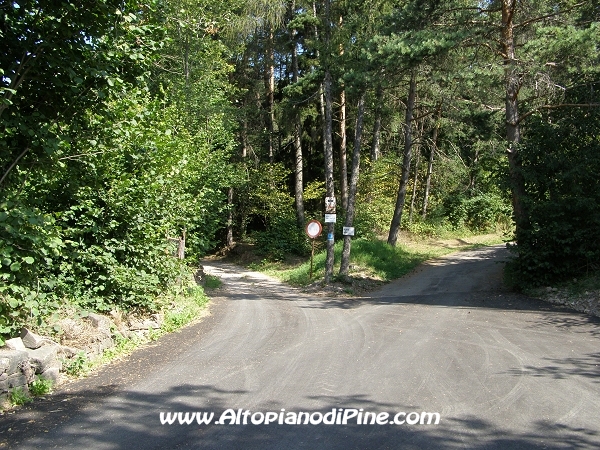 Tressilla Doss - strade che portano nel bosco [fotopercorsi/sentiero_tressilla1.jpg]