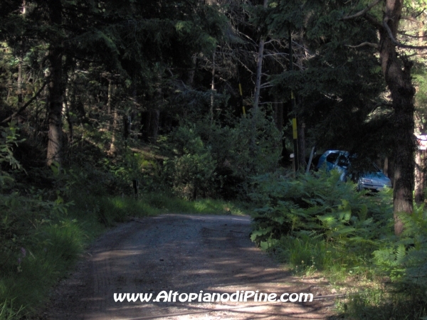 Bedolpian strada per Sternigo [fotopercorsi/strada_bedolpian-sternigo10.jpg]