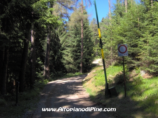 Bedolpian strada per Sternigo [fotopercorsi/strada_bedolpian-sternigo2.jpg]