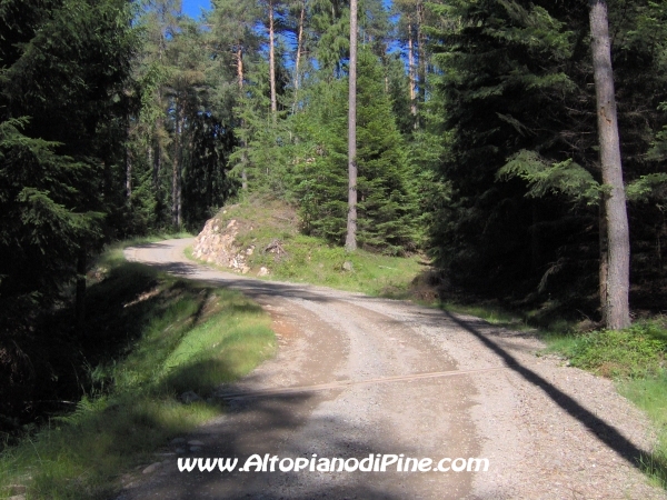 Bedolpian strada per Sternigo [fotopercorsi/strada_bedolpian-sternigo3.jpg]