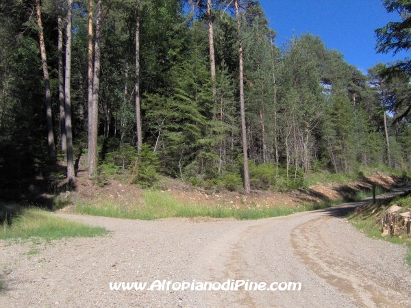 Bedolpian strada per Sternigo [fotopercorsi/strada_bedolpian-sternigo5.jpg]