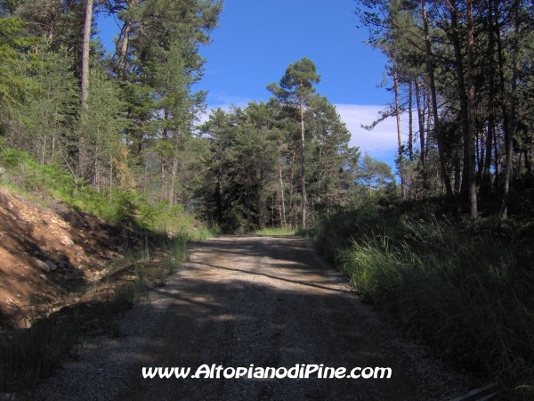 Bedolpian strada per Sternigo [fotopercorsi/strada_bedolpian-sternigo6.jpg]