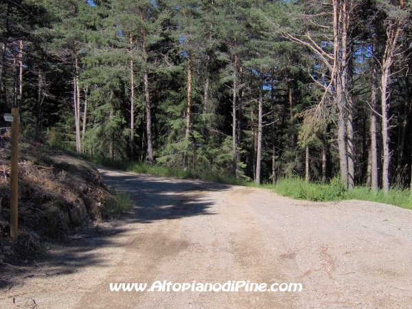 Bedolpian strada per Sternigo [fotopercorsi/strada_bedolpian-sternigo7.jpg]