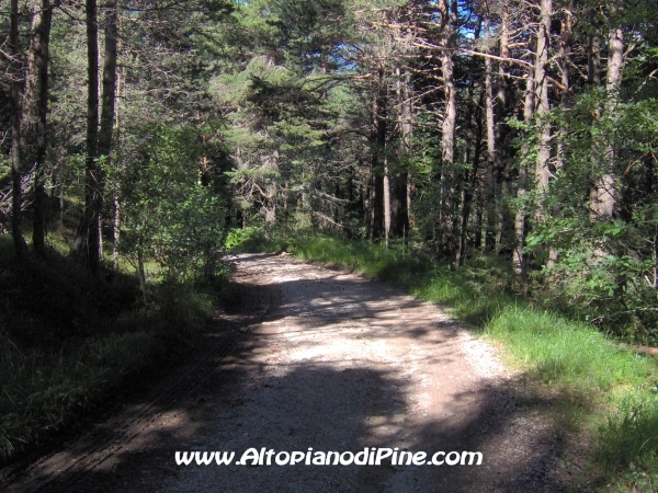 Bedolpian strada per Sternigo [fotopercorsi/strada_bedolpian-sternigo8.jpg]