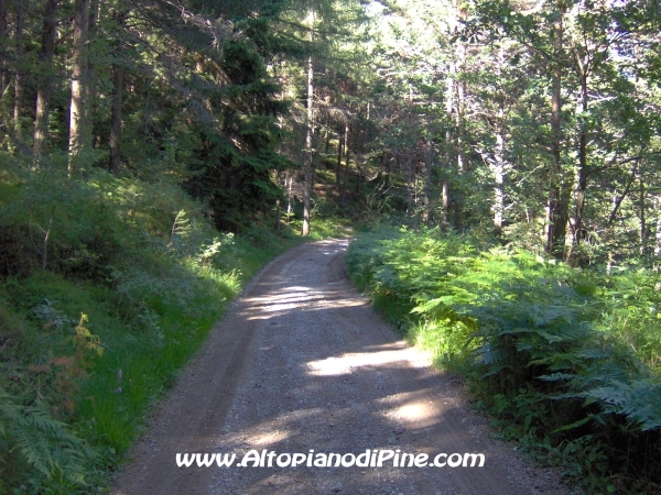 Bedolpian strada per Sternigo [fotopercorsi/strada_bedolpian-sternigo9.jpg]