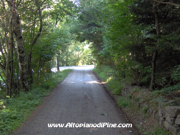 Sternigo - strada che scende dal bosco [fotopercorsi/strada_boscosternigo2.jpg]