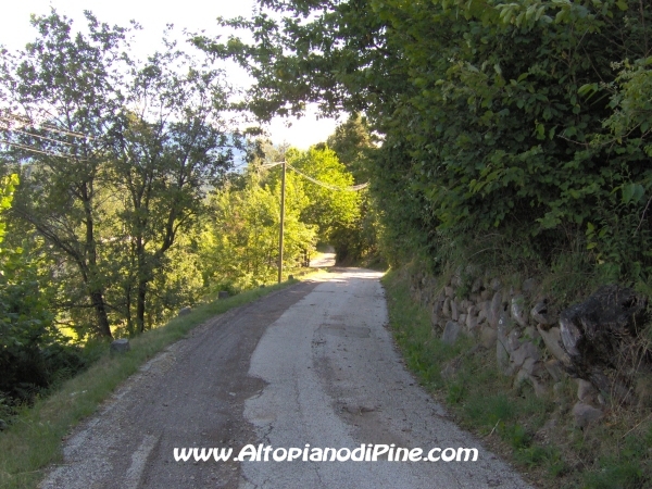 Sternigo - strada che scende dal bosco [fotopercorsi/strada_boscosternigo3.jpg]