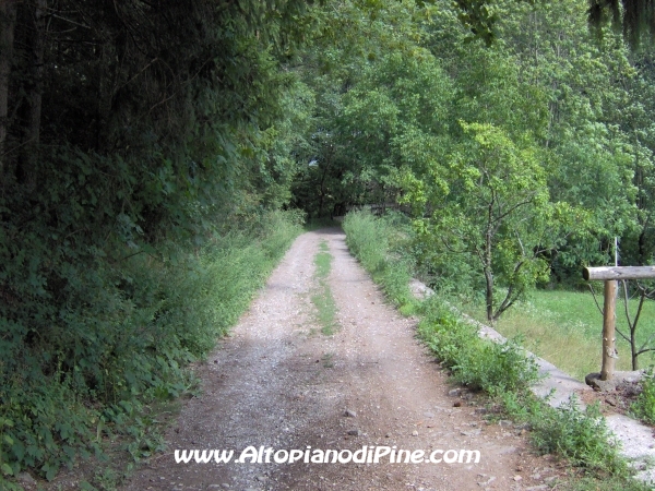 Strada forestale Erla [fotopercorsi/strada_erla-rionegro10.jpg]