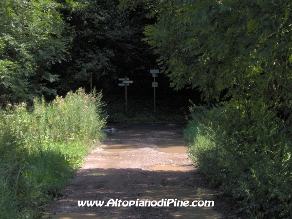 Strada forestale Erla [fotopercorsi/strada_erla-rionegro12.jpg]