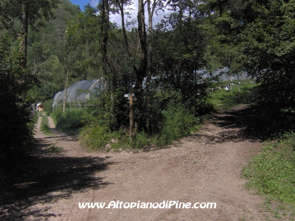 Strada forestale Erla [fotopercorsi/strada_erla-rionegro13.jpg]