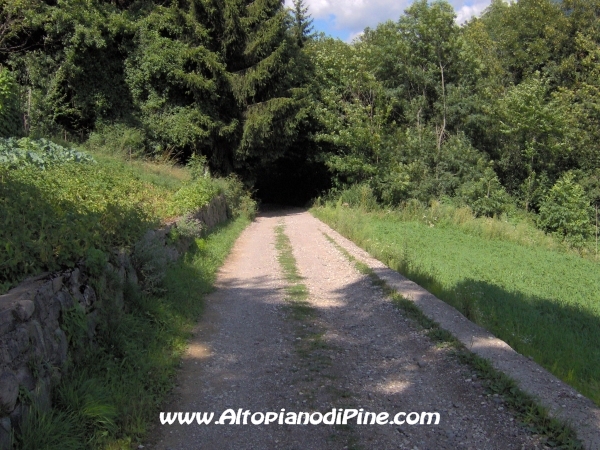 Strada forestale Erla [fotopercorsi/strada_erla-rionegro3.jpg]