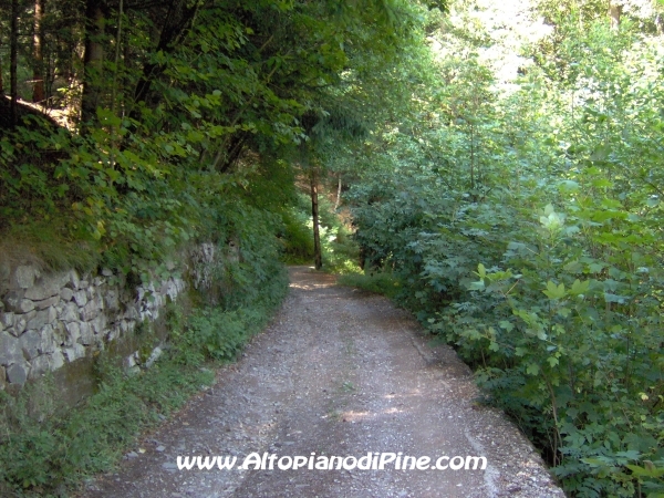 Strada forestale Erla [fotopercorsi/strada_erla-rionegro4.jpg]