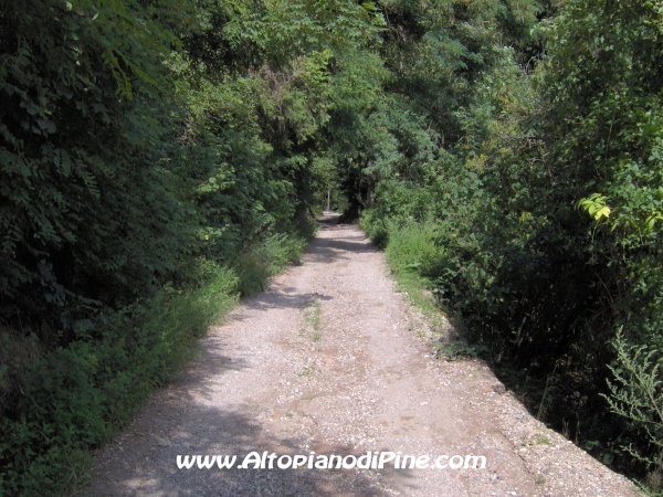 Strada forestale Erla [fotopercorsi/strada_erla-rionegro8.jpg]