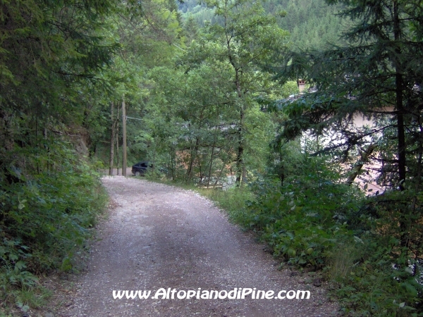 Strada forestale Erla [fotopercorsi/strada_erla-rionegro9.jpg]