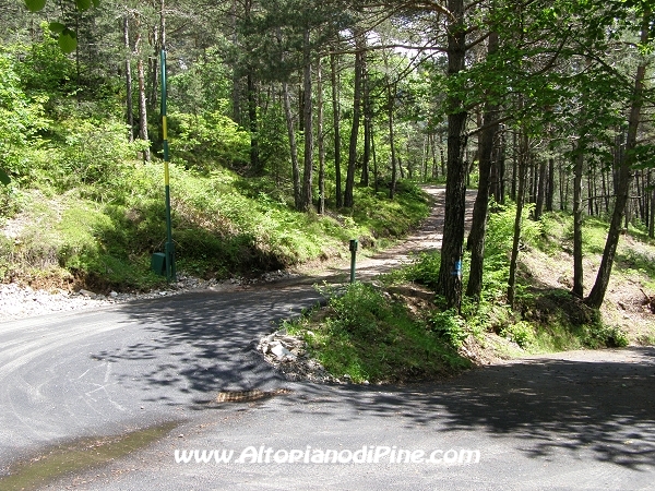 Strada ex discarica Tressilla [fotopercorsi/strada_exdiscaricatressilla3.jpg]