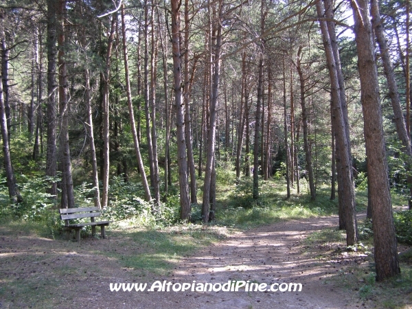 Strada ex discarica Tressilla [fotopercorsi/strada_exdiscaricatressilla4.jpg]