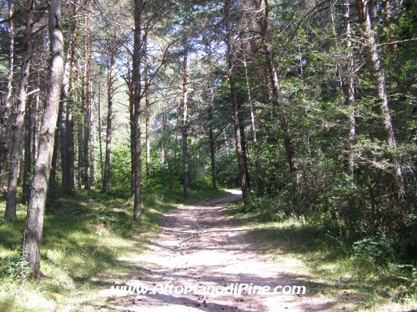 Strada ex discarica Tressilla [fotopercorsi/strada_exdiscaricatressilla5.jpg]