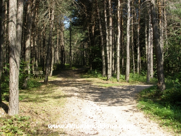 Strada ex discarica Tressilla [fotopercorsi/strada_exdiscaricatressilla6.jpg]