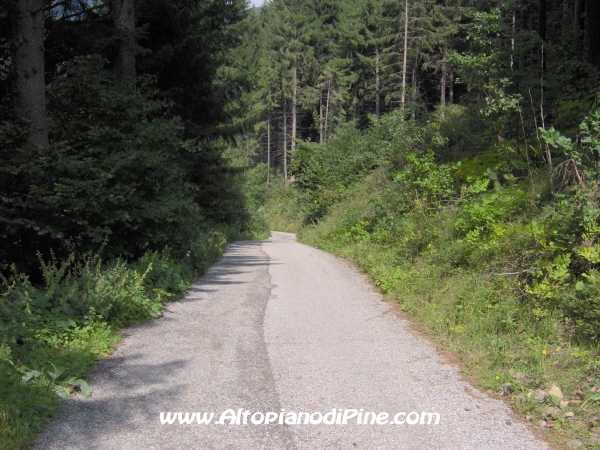 Strada verso Cascata del Lupo e Segonzano [fotopercorsi/strada_piazze-cascatalupo_11.jpg]