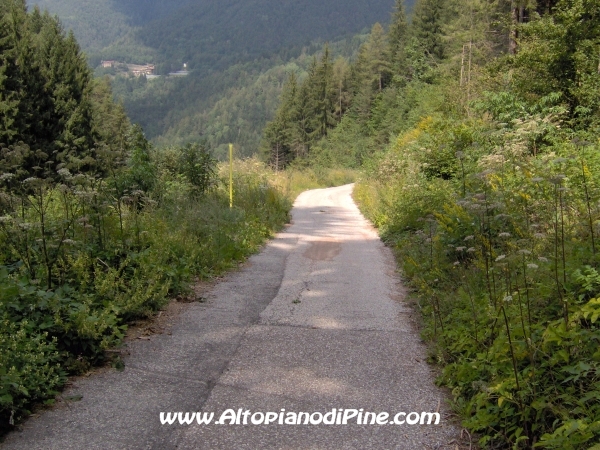 Strada verso Cascata del Lupo e Segonzano [fotopercorsi/strada_piazze-cascatalupo_12.jpg]