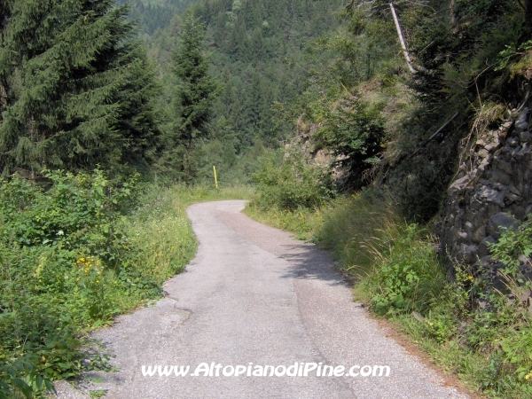 Strada verso Cascata del Lupo e Segonzano [fotopercorsi/strada_piazze-cascatalupo_13.jpg]