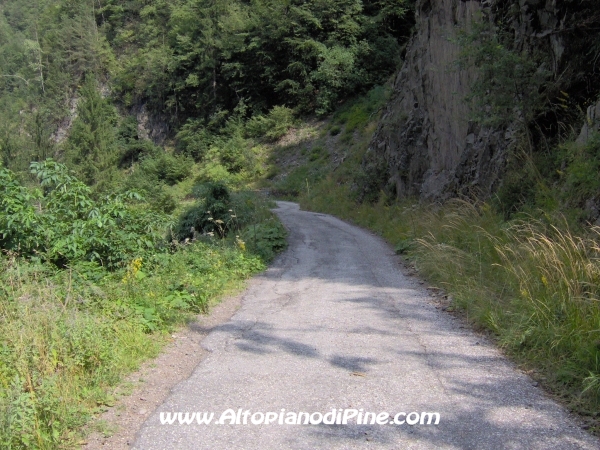 Strada verso Cascata del Lupo e Segonzano [fotopercorsi/strada_piazze-cascatalupo_14.jpg]