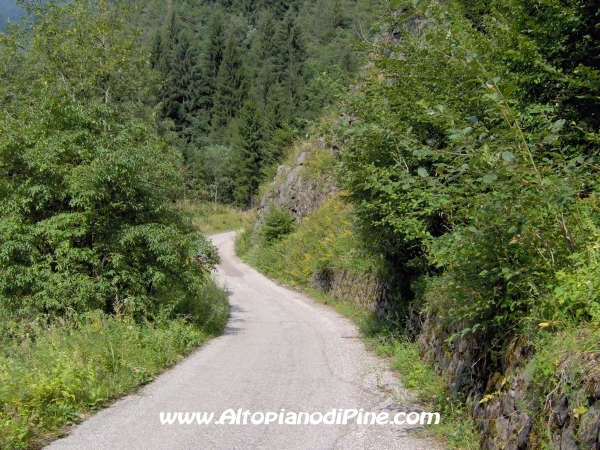 Strada verso Cascata del Lupo e Segonzano [fotopercorsi/strada_piazze-cascatalupo_15.jpg]