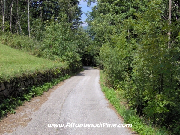 Strada verso Cascata del Lupo e Segonzano [fotopercorsi/strada_piazze-cascatalupo_3.jpg]