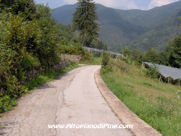 Strada verso Cascata del Lupo e Segonzano [fotopercorsi/strada_piazze-cascatalupo_4.jpg]