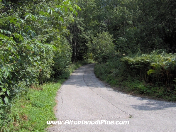 Strada verso Cascata del Lupo e Segonzano [fotopercorsi/strada_piazze-cascatalupo_6.jpg]