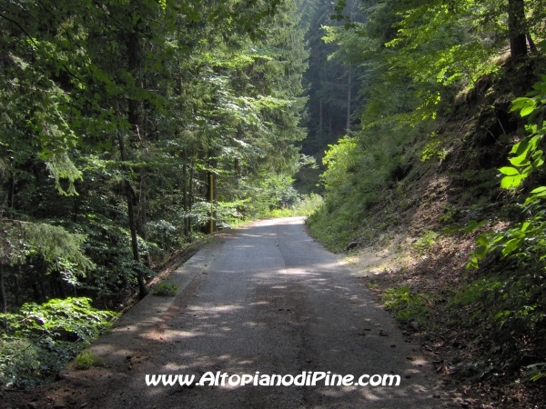 Strada verso Cascata del Lupo e Segonzano [fotopercorsi/strada_piazze-cascatalupo_7.jpg]