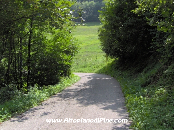 Strada verso Cascata del Lupo e Segonzano [fotopercorsi/strada_piazze-cascatalupo_8.jpg]